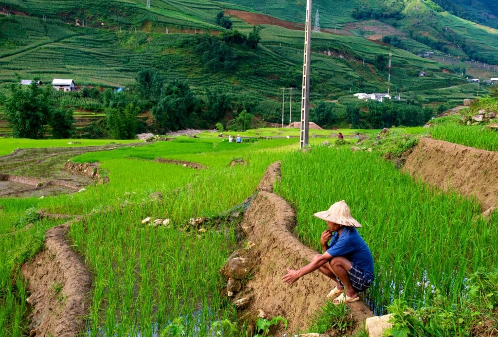 Vietname countryside