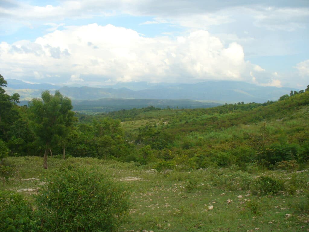 The Haiti Earthquake Remembered — Health Volunteers Overseas